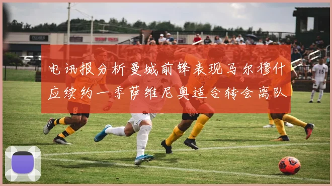 电讯报分析曼城前锋表现马尔穆什应续约一季萨维尼奥适合转会离队