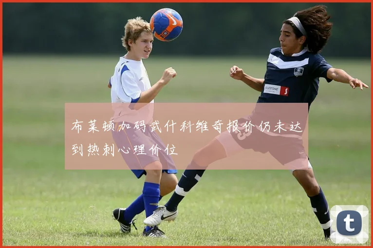 布莱顿加码武什科维奇报价仍未达到热刺心理价位