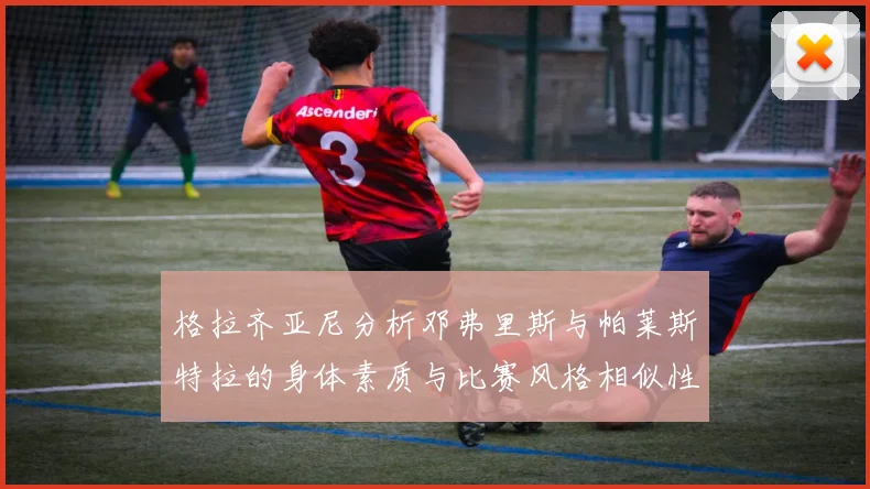 格拉齐亚尼分析邓弗里斯与帕莱斯特拉的身体素质与比赛风格相似性